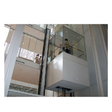 Square Glass Elevator Sightseeing Passenger Lift